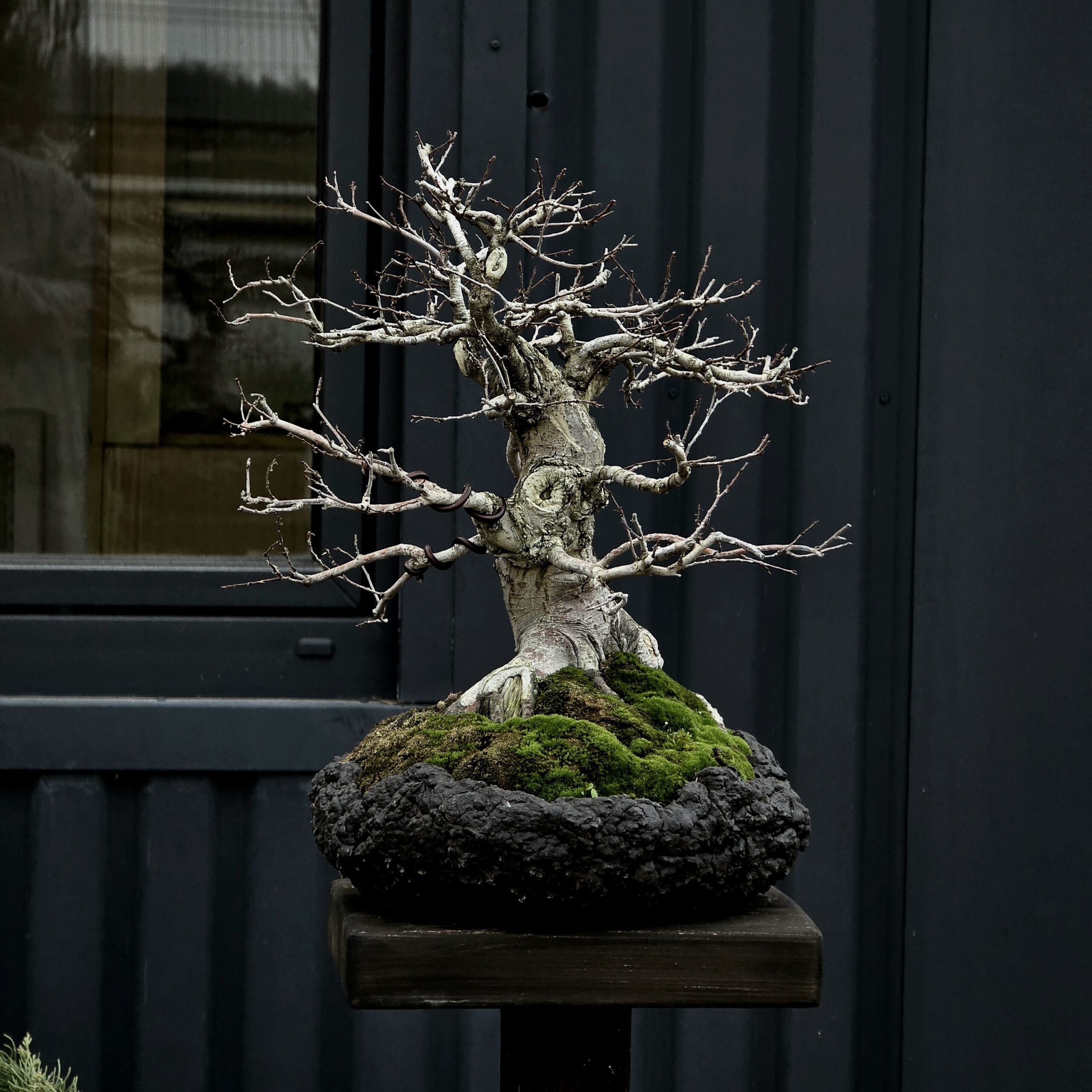 20251117_153816(1)(1)