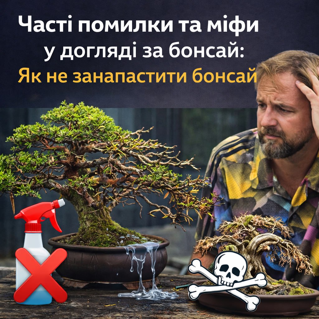 Частые ошибки и мифы в уходе за бонсай: Как не погубить дерево